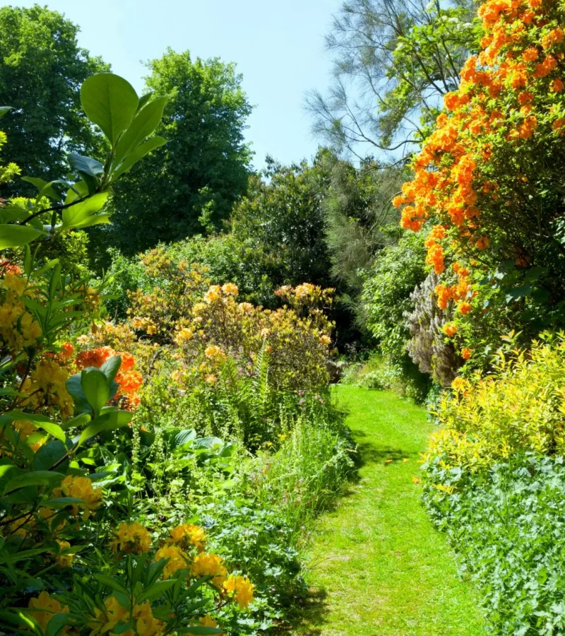 entretien jardin La Baule