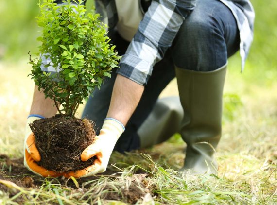 Création massif La Baule Guérande Pornichet